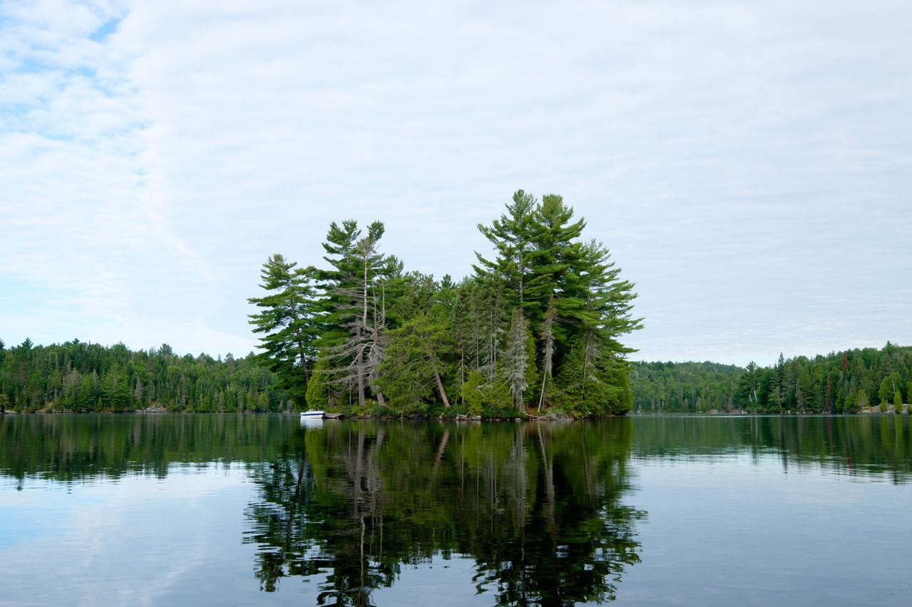 tranquil forested island on a calm lake surrounded by lush greenery an