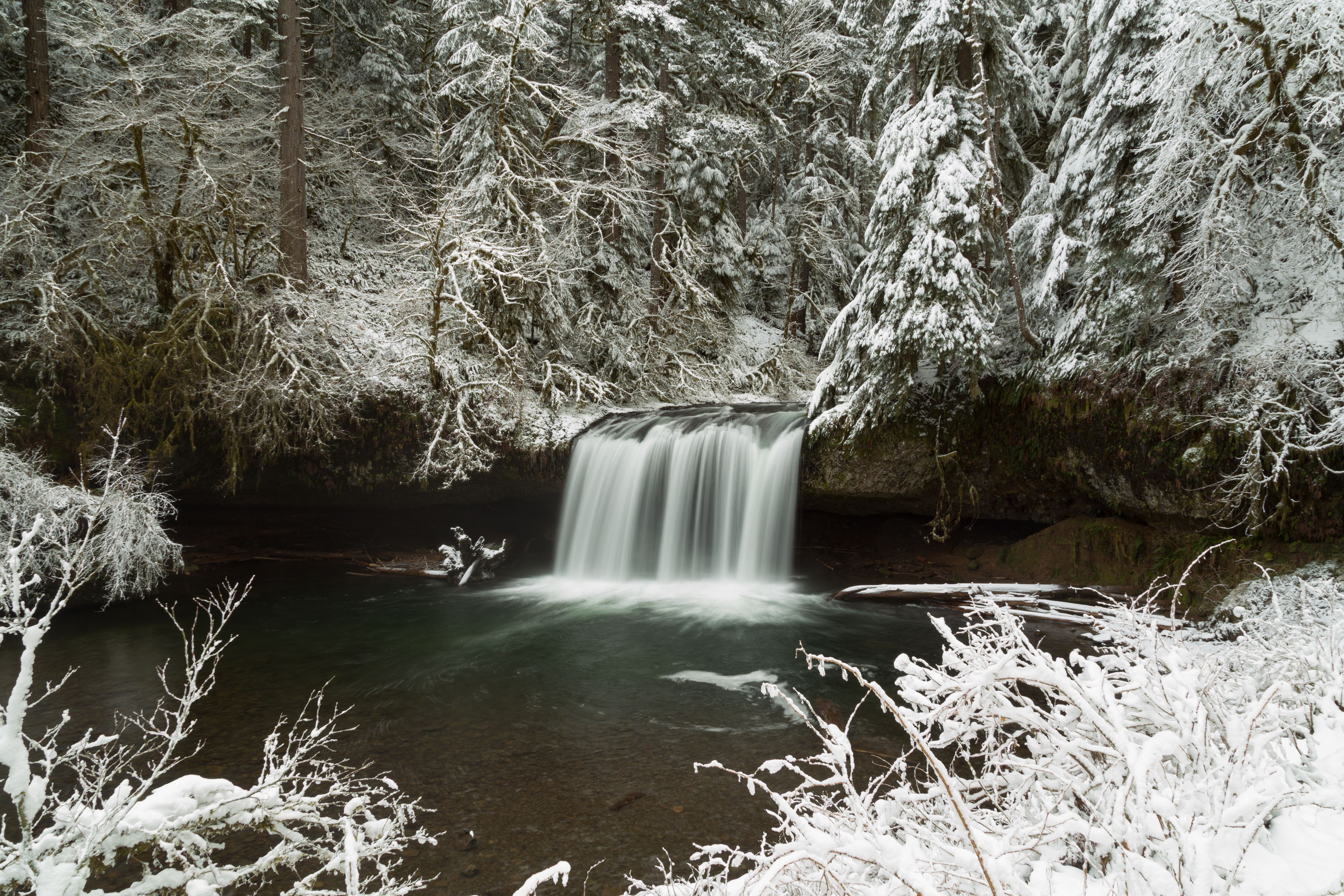 Waterfall in Winter Forest · Free Stock Photo
