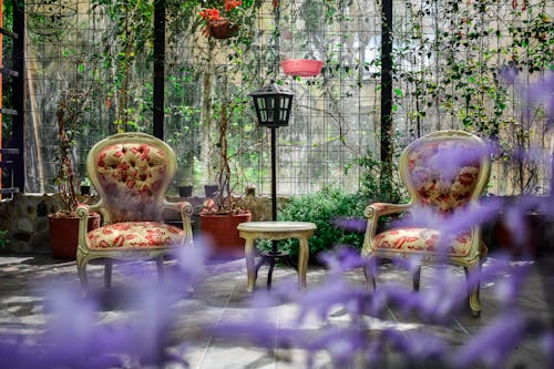 冬季花園, 桌子, 植物盆 的 免費圖庫相片