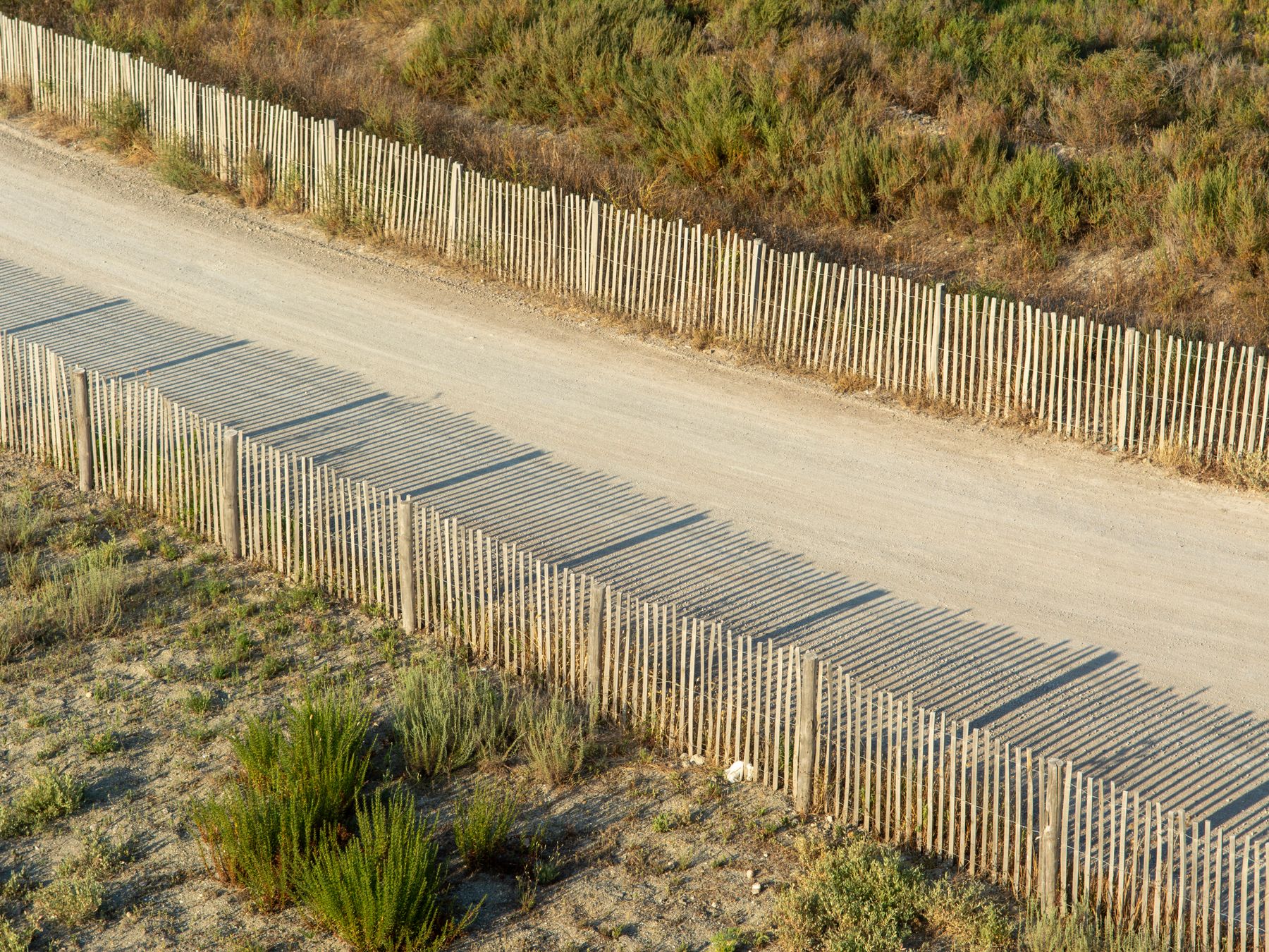 Fence and Decking Painting in Westminster — surfaces prepped and cut in by hand