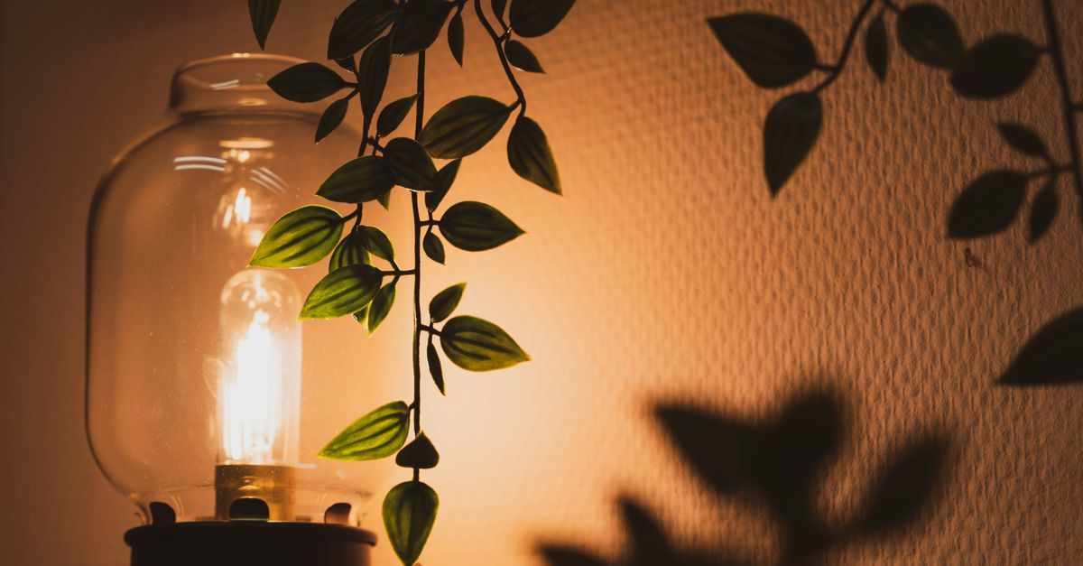 Lampe Design : Top 20 Modèles Tendance 2026