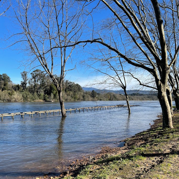 River Spring Flooding 