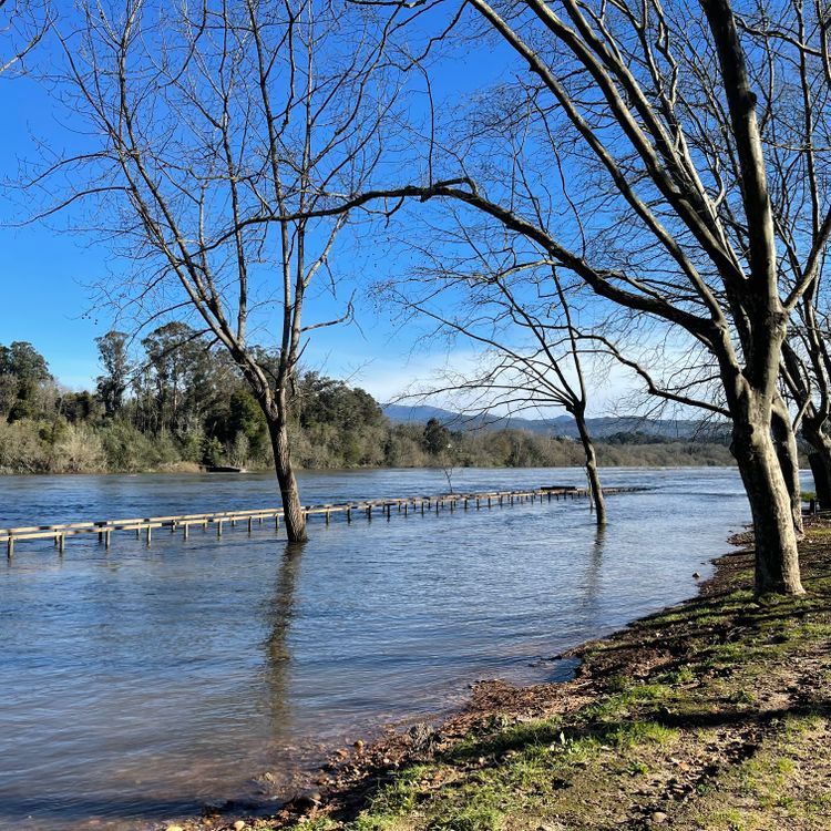 Spring Flood Raphicg River Spring Flooding · Free Stock Photo
