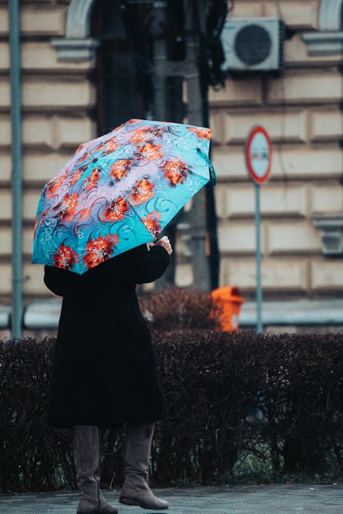 Gratis stockfoto met lopen, mevrouw, paraplu