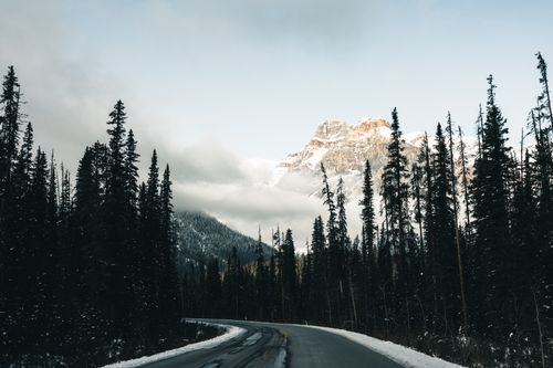 Free Captivating winter scene of a winding road amidst snow-covered trees and mountains in Field, BC, Canada. Stock Photo