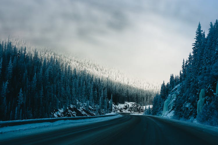 Asphalt Road Across The Mountain Forest