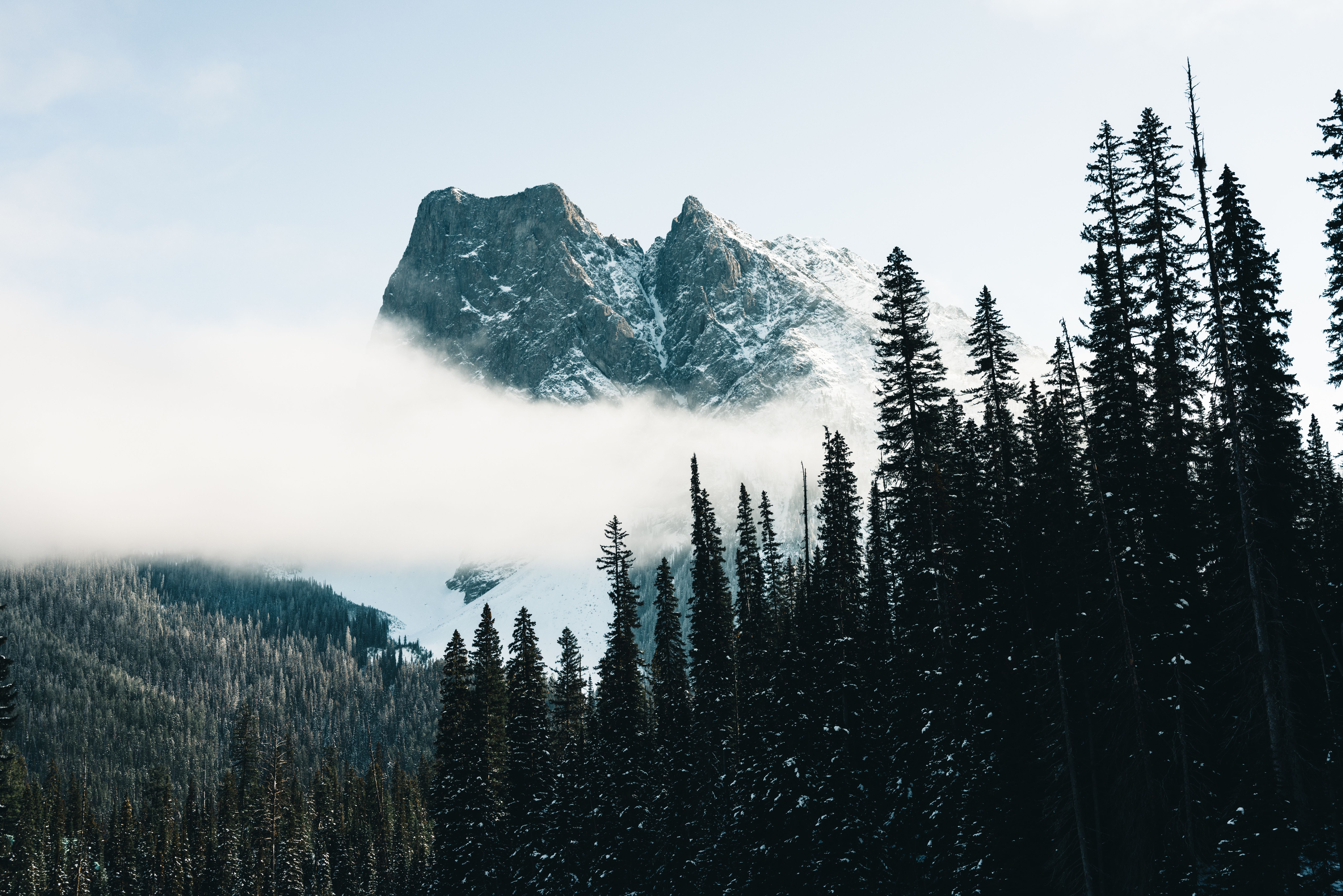 Kootenay Shambhala 2