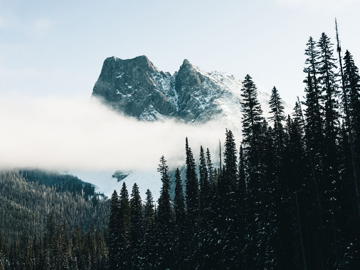 Kootenay Shambhala 2
