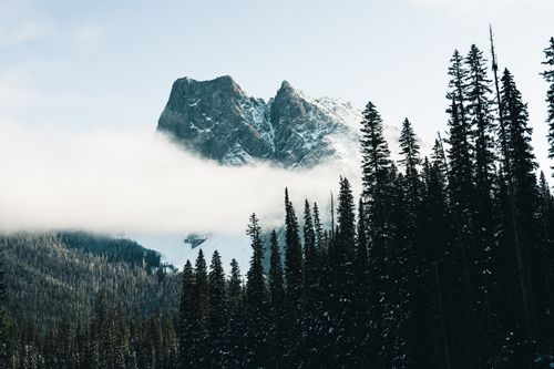 Free Explore the serene mountain landscape of Field, BC, with evergreen trees and misty peaks. Stock Photo