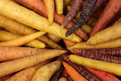 Bunch of Colorful Carrots