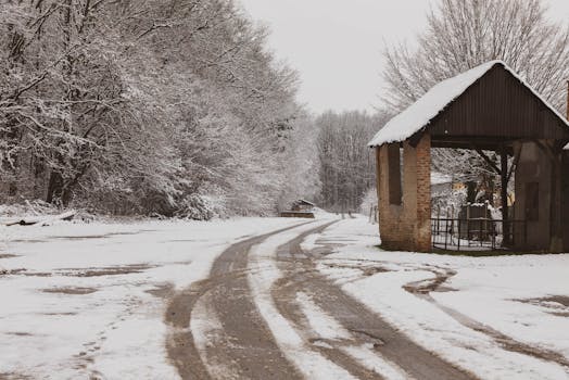 A serene winter landscape with snow-covered road and trees.