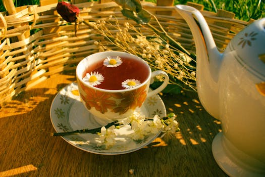 image for how to dry hibiscus flowers for tea