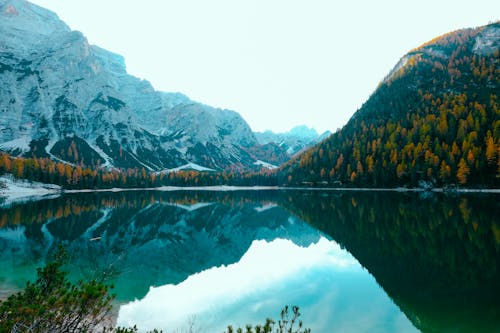 Lago Rodeado De árboles Y Montañas