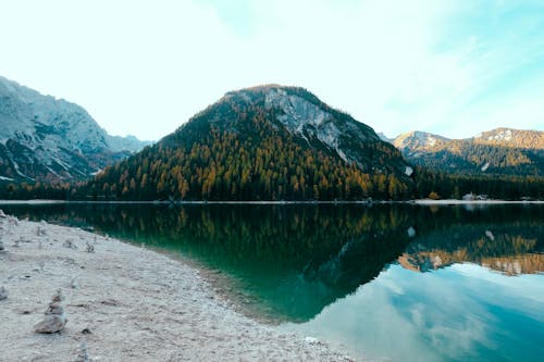 Gunung Tertutup Pohon Dekat Fotografi Alam Danau