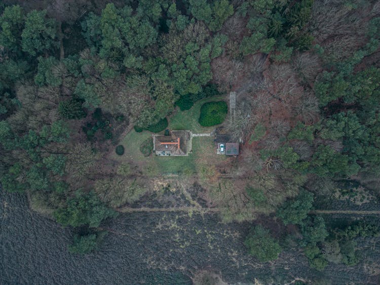 Aerial View Of House In Forest