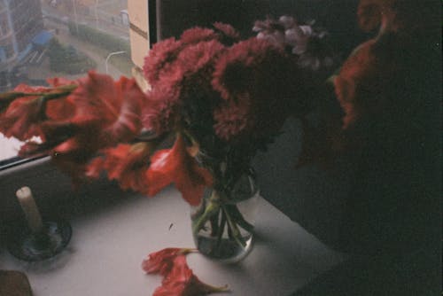 Flowers in a Vase by a Window 