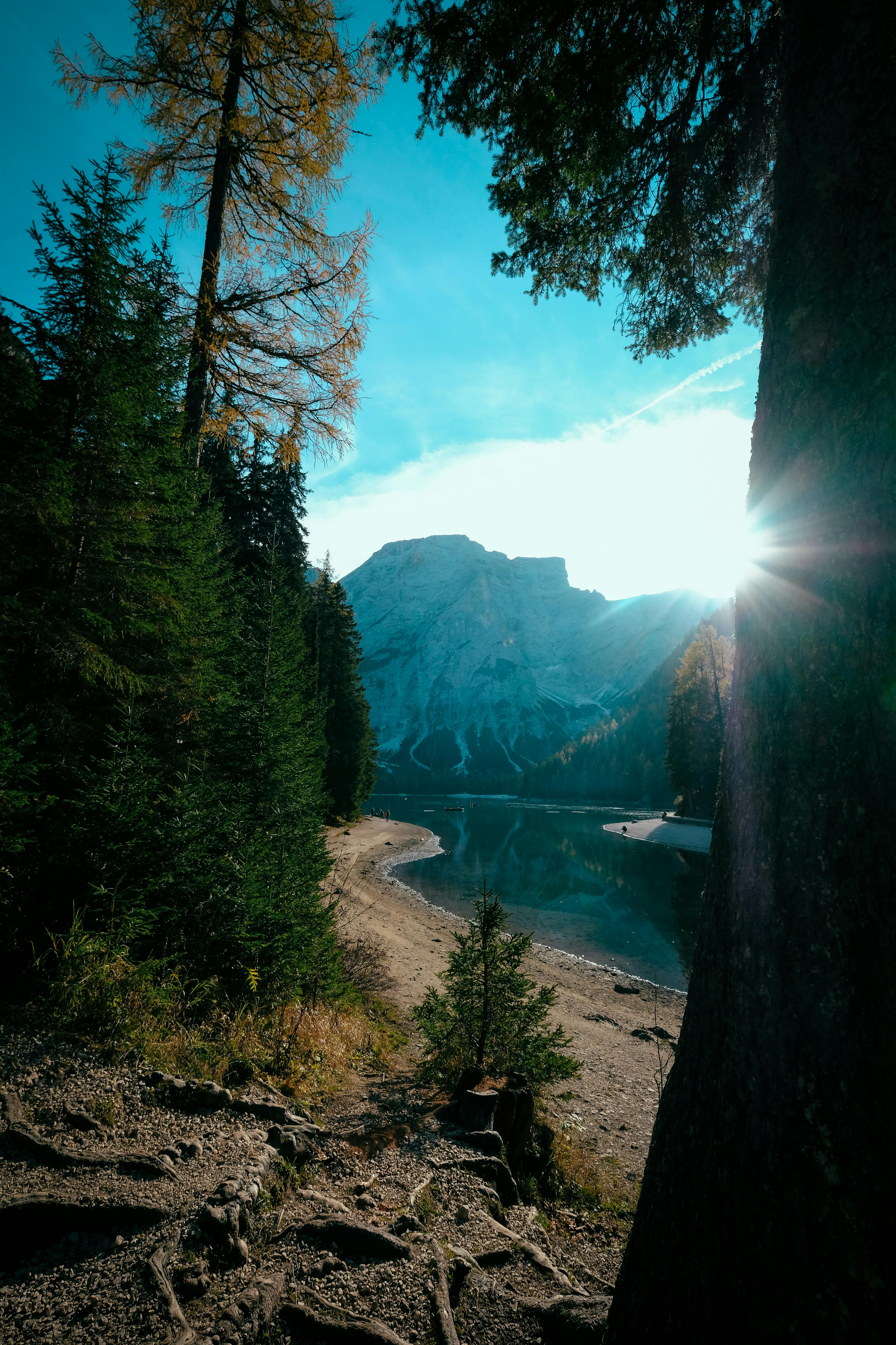 山间湖泊宁静宜人，周围环绕着郁郁葱葱的树木和岩石小径，非常适合探索自然