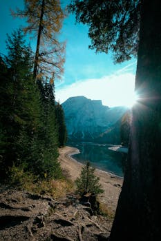 山间湖泊宁静宜人，周围环绕着郁郁葱葱的树木和岩石小径，非常适合探索自然