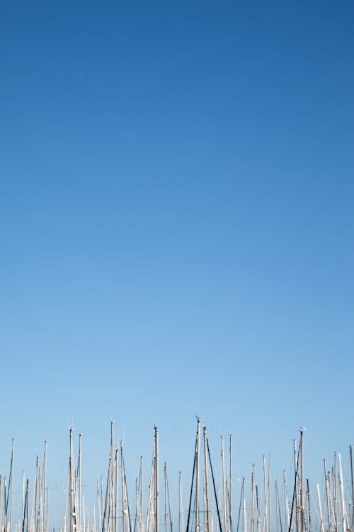 Foto d'estoc gratuïta de barques, bell cel, cel blau
