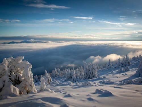 Scenic Winter Landscape