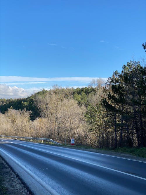 Kostnadsfri bild av asfalt, bil, blå himmel
