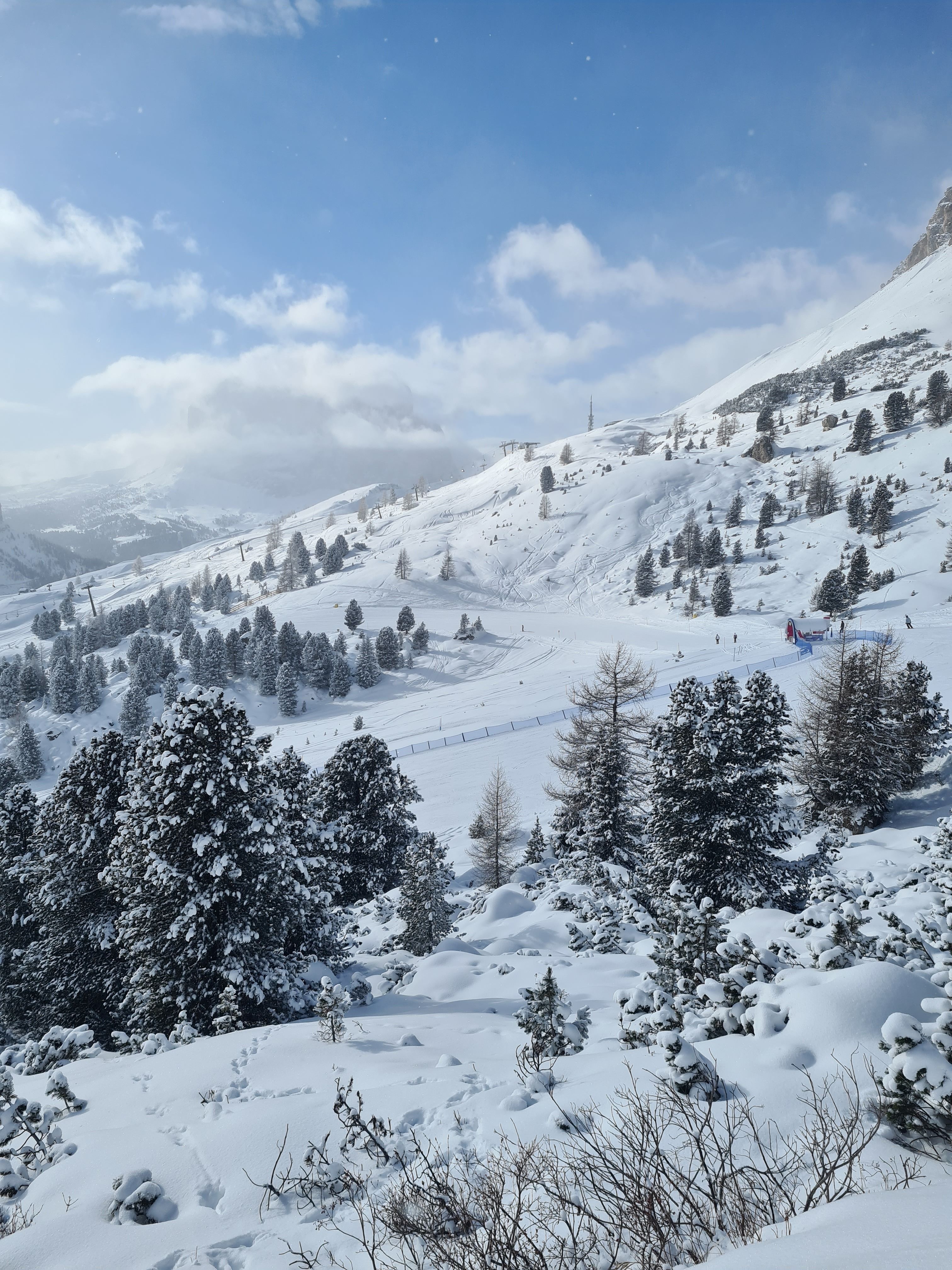 Green Pine Trees on a Snow Covered Mountain Under Blue Sky · Free Stock ...