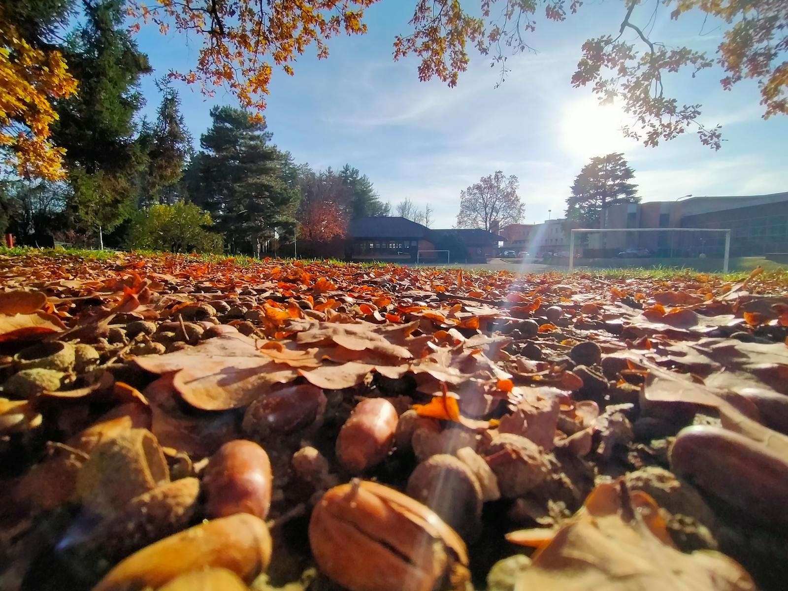 Vinyl records and headphones suggesting a blend of classic and modern music styles