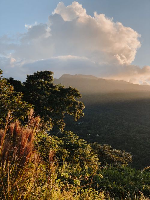 Free Yunque National Forest  Stock Photo