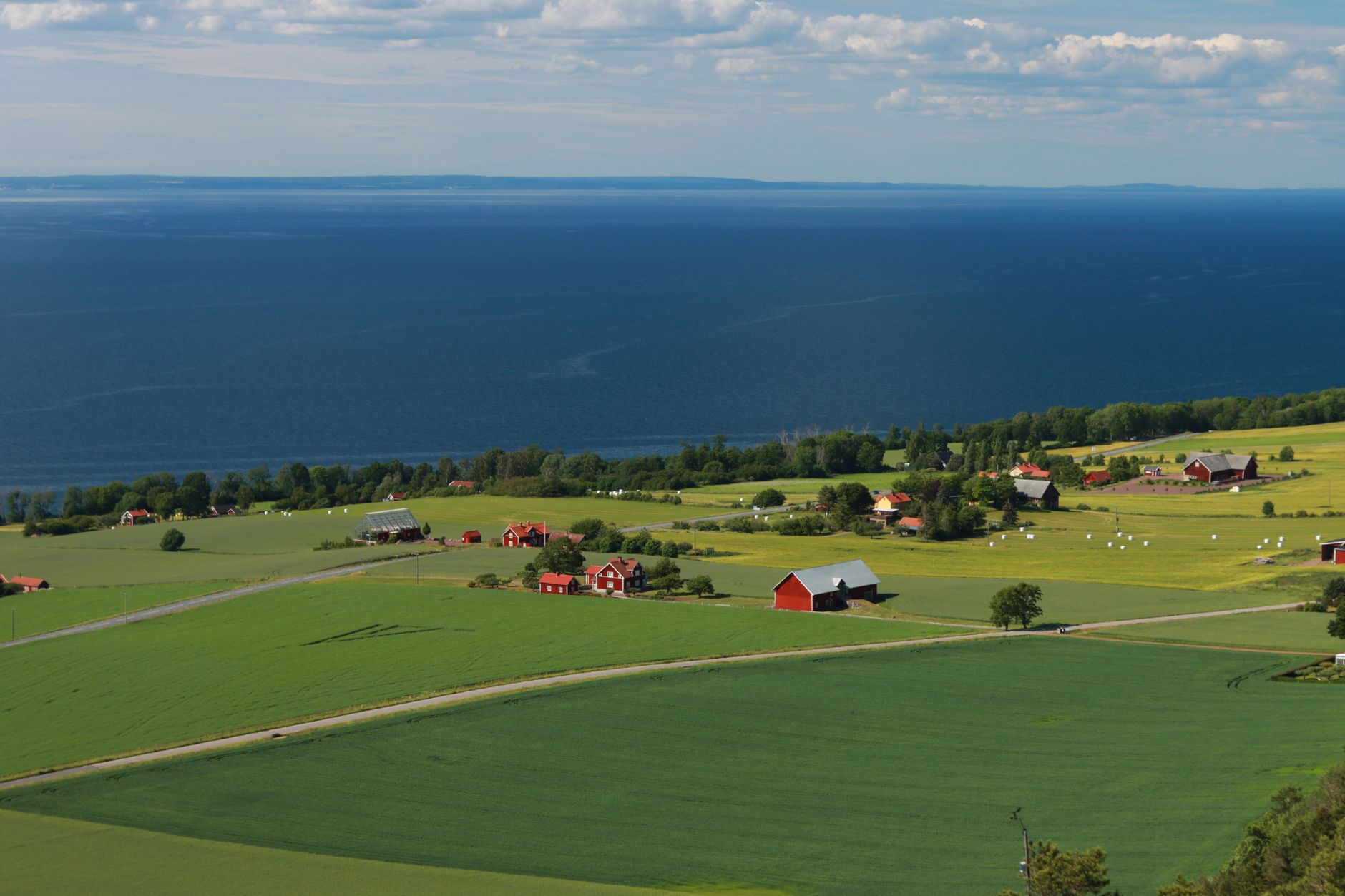 Idyllic view of Swedish countryside with red cottages by the sea and green fields.
