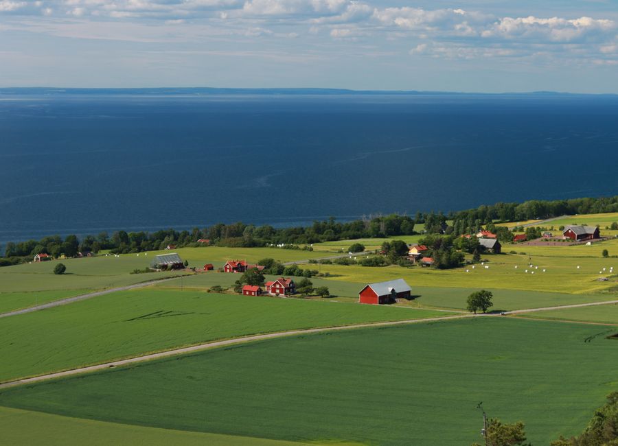 Idyllic view of Swedish countryside with red cottages by the sea and green fields.