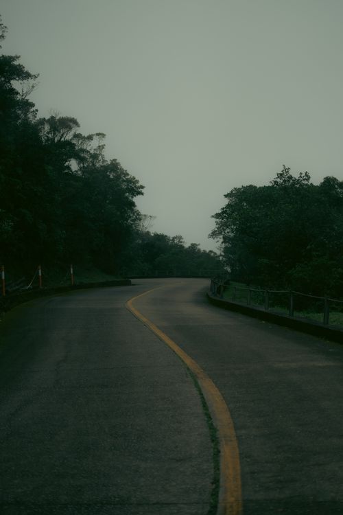 Free Curving asphalt road under overcast skies amidst dense forest, creating a mysterious atmosphere. Stock Photo