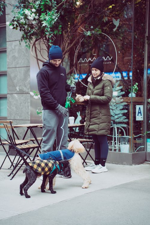 Free A couple walks their fashionable dogs outside a cozy urban café, enjoying a cold winter day. Stock Photo