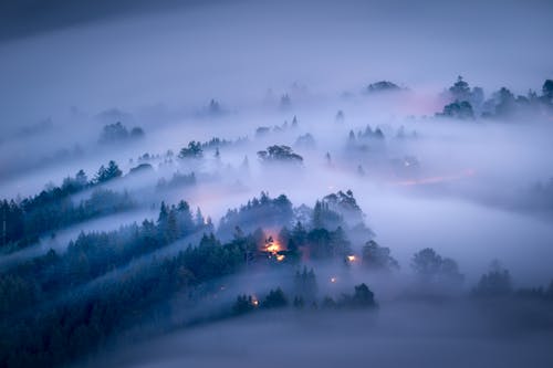 A foggy landscape with trees and houses