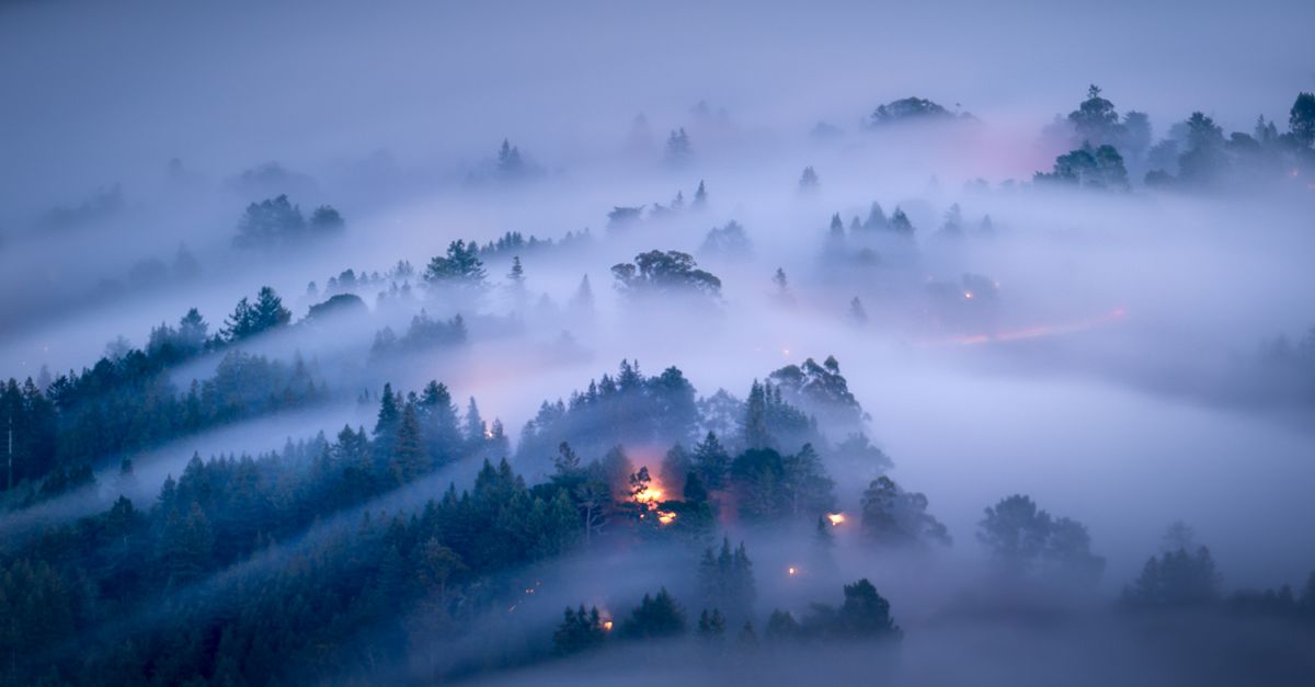 A Foggy Landscape With Trees And Houses Free Stock Photo a-foggy-landscape-with-trees-and-houses-free-stock-photo