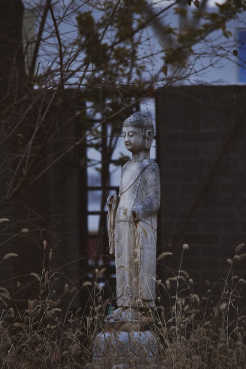 Statues of Standing Buddha