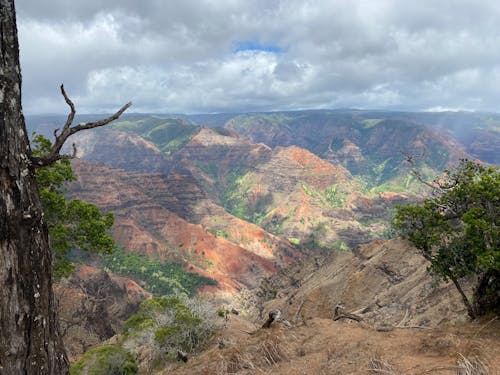Ingyenes stockfotó dombok, hawaii, hegy témában