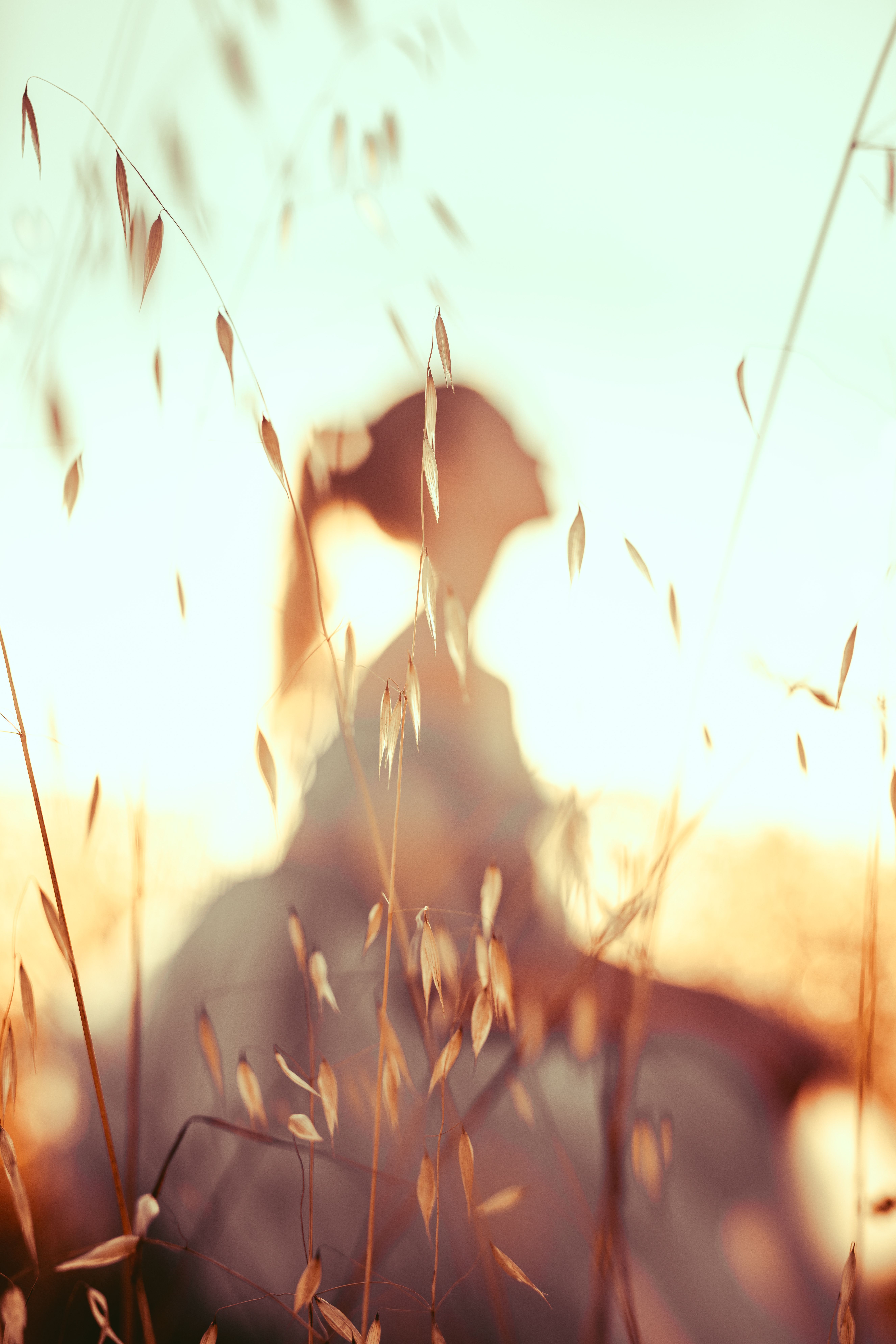 Shadow of Woman in Field on Sunset · Free Stock Photo