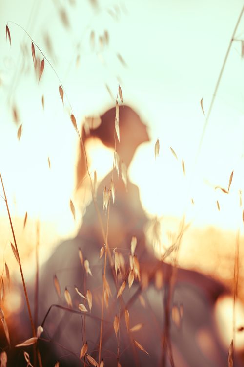 Free Artistic silhouette of a woman in a field at sunset, surrounded by fall grasses. Stock Photo