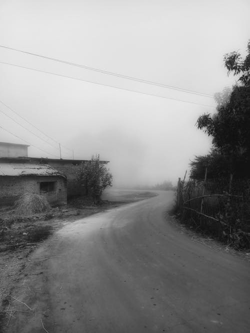 Fog Above Path
