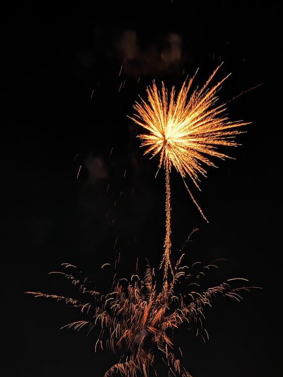 Fireworks Exploding on Dark Sky