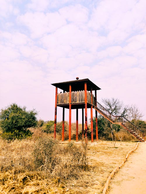 Wooden Tower in Wilderness