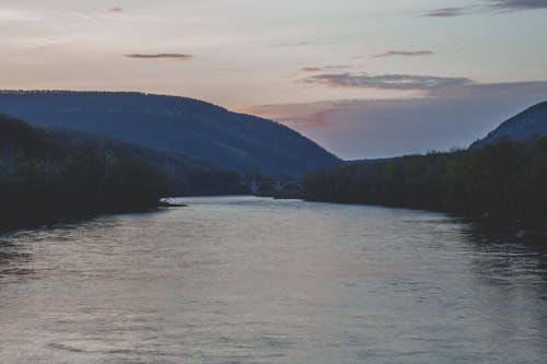 River in Forest during Golden Hour