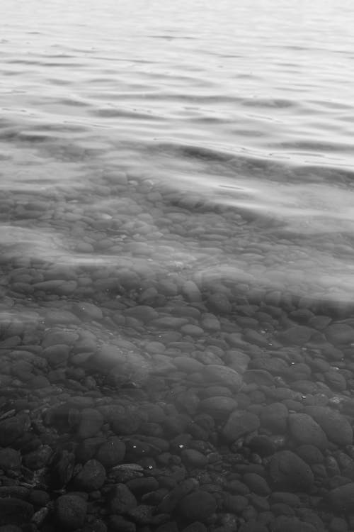 Foto stok gratis grayscale, hitam & putih, laut