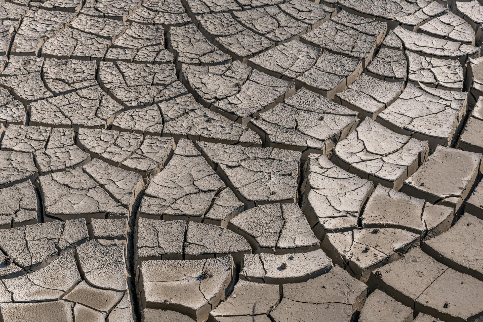 Free stock photo of arid, ball-shaped, brake