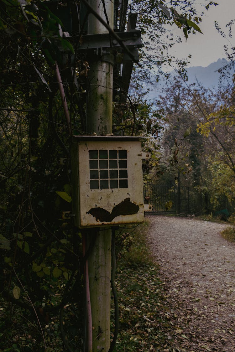 Fuse Box On Concrete Post