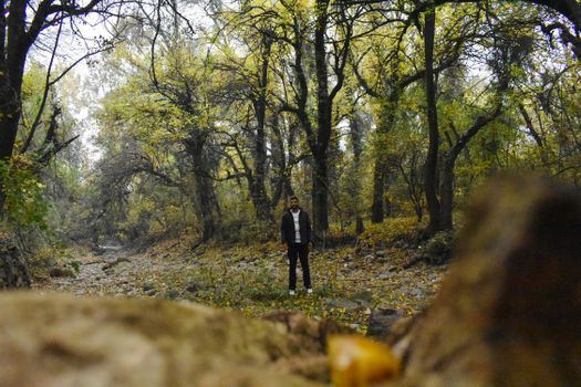 A man stands amidst foggy autumn woods, surrounded by trees and rocks.