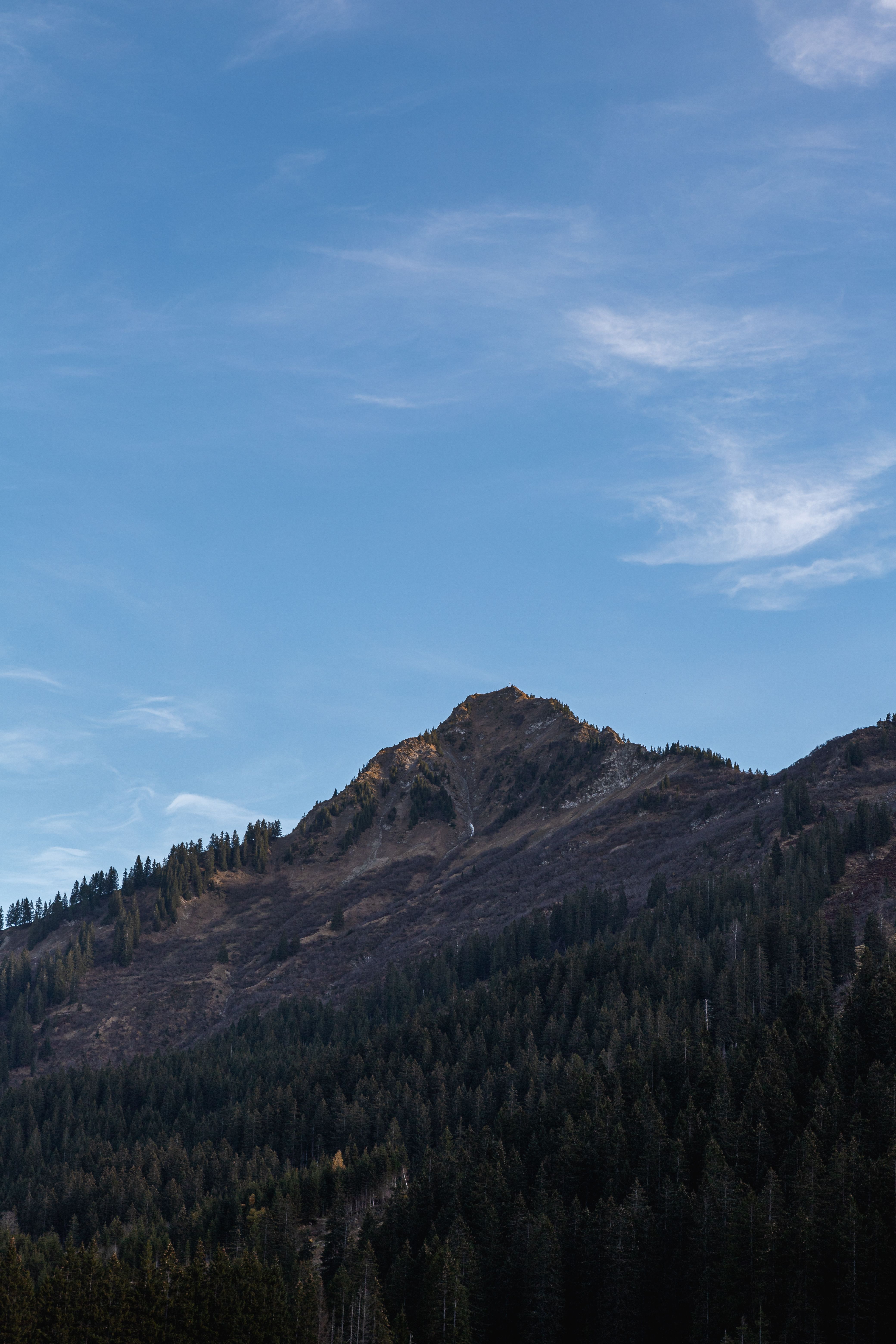 Majestic mountain peak under a clear blue sky with lush forest. Serene and picturesque.