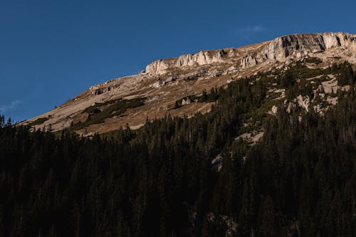 Peak of Rocky Mountain