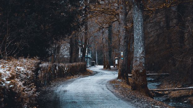 Hiking in Belgium