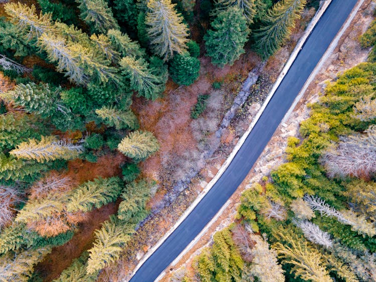 Drone Shot Of An Empty Road 